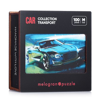 Пазлы 100 "Авто модное" Collection TRANSPORT.