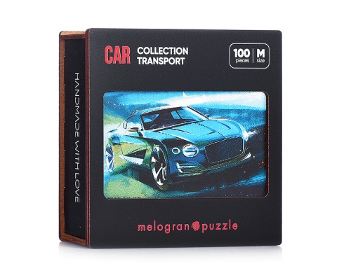Пазлы 100 "Авто модное" Collection TRANSPORT.