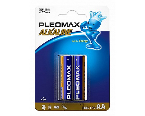 Батарейки солевые PLEOMAX LR6 BL2