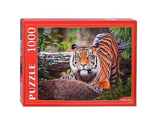 Пазлы 1000 "Суматранский тигр"