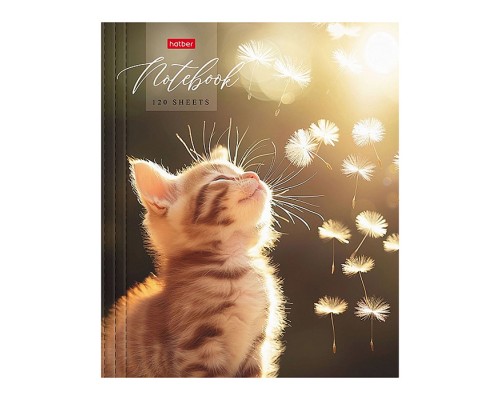 Тетрадь 120л "Солнечный котик" А5ф