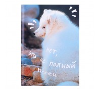 Книги для записей А5 "Песец" (145х210) 80л. 7БЦ, глянцевая ламинация.