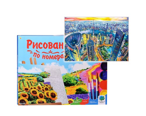 Холст с красками 40х50 по номерам "Шанхай с высоты птичьего полета" (22 цв.)