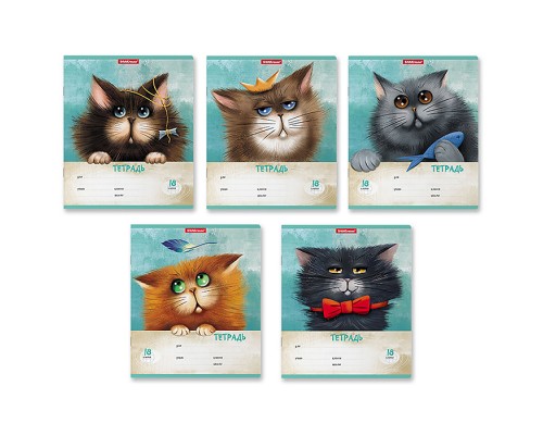 Тетрадь 18 л. линия "Funny Cats"