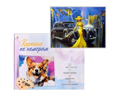 Холст с красками 17х22 по номерам "Красота ночи" (14цв.)