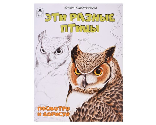 Эти разные птицы.(Посмотри и раскрась)