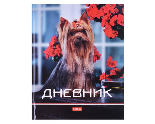 Дневник 1-11кл. 40л А5ф твердый переплет, глянц. ламин. "Милый йорк"
