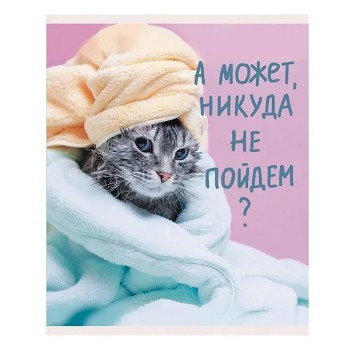 Тетрадь 48л. А5, линия "Утро кошечки" скрепка