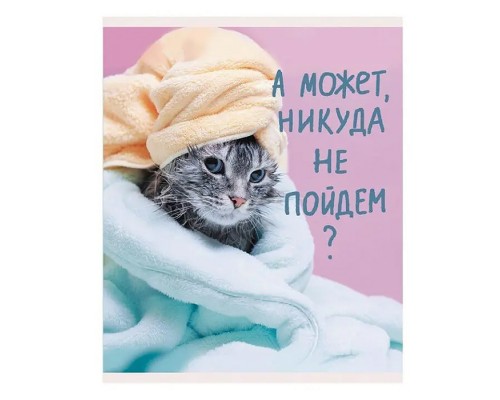 Тетрадь 48л. А5, линия "Утро кошечки" скрепка