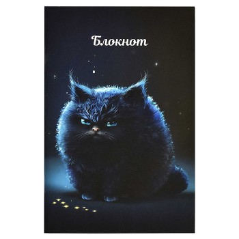 Блокнот 40 л. "Недовольный кот" 120х185 мм.
