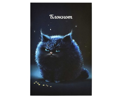Блокнот 40 л. "Недовольный кот" 120х185 мм.