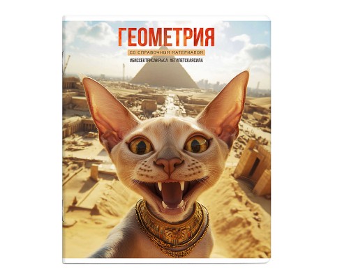 Тетрадь 48 л., клетка "Селфи" Геометрия.