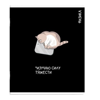 Тетрадь предметная 48 л., А5+ клетка «Коты мемы» Физика