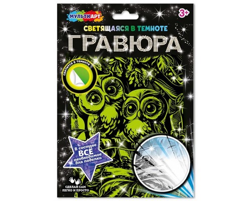 Гравюра, светящаяся в темноте "Совушки" 18*24 см.