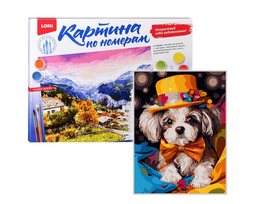 Картина по номерам на картоне 28,5*38 см "Фокусник"