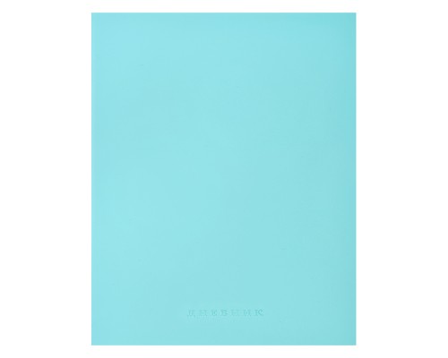 Дневник 1-11 кл. "Minty soft touch" универсальный блок, 48 листов, кремовая бумага 80 г/м²,