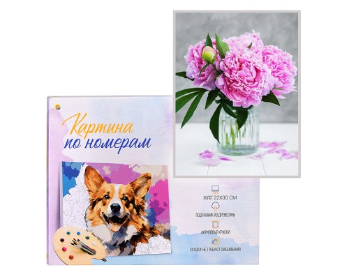 Холст с красками 22х30 по номерам "Нежные пионы" (16цв.)