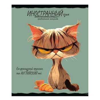 Тетрадь 48л. клетка, Иностранный язык "Про хвост"