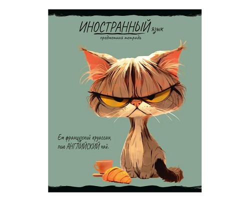 Тетрадь 48л. клетка, Иностранный язык "Про хвост"