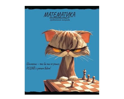 Тетрадь 48л. клетка, Математика "Про хвост"