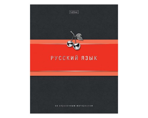 Тетрадь 48л. линия "Гармония- Русский язык" А5ф, с интерактивн. справочн. инф. на скобе