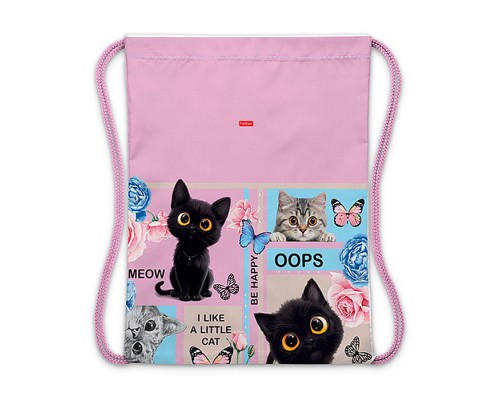 Мешок для сменной обуви 33х42см., 1 отделение "Cat day"