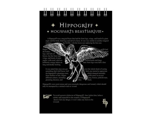 Блокнот 60 л., клетка "Гарри Поттер" А5, на гребне