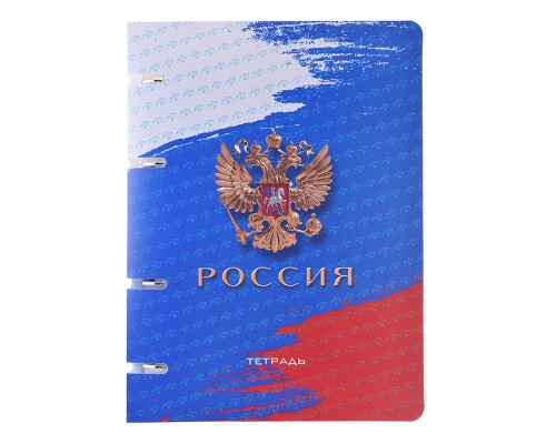 Тетрадь 80л. на кольц. А5 пл.обл., "Россия"