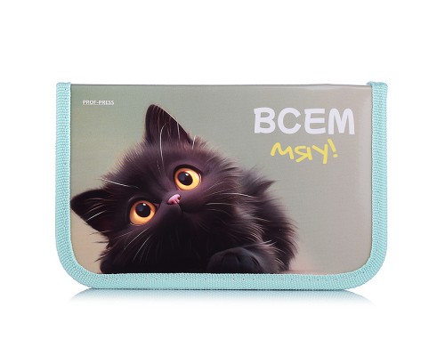Пенал 1-секц, большой "Милый котик-1"