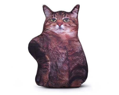 Кот Степан
