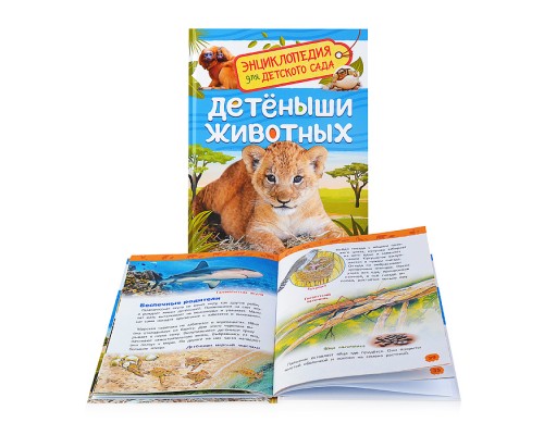 Детеныши животных (Энциклопедия для детского сада)