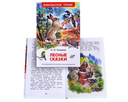 Сладков Н. Лесные сказки (ВЧ)