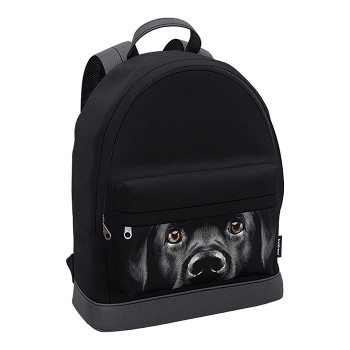 Рюкзак "StreetLine" с отделением для ноутбука 17L Black Dog
