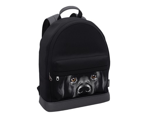 Рюкзак "StreetLine" с отделением для ноутбука 17L Black Dog