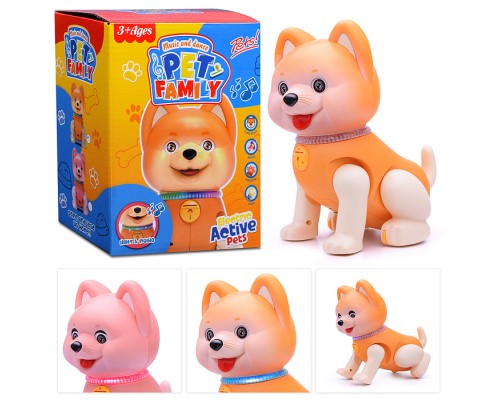 Развивающая игрушка "Собака" в коробке