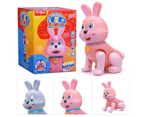 Развивающая игрушка "Заяц" в коробке