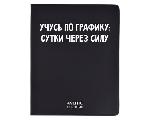 Дневник 1-11 кл. "Учусь по графику" 48 листов, белая бумага 80 г/м²