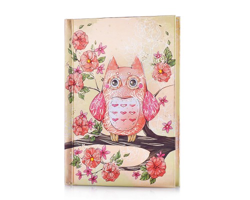 Записная книжка "Ноутбук" "Сова" (А6, 105x145мм, 160 стр.,)