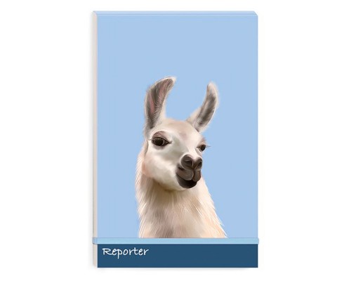 Записная книжка А5+, 100л "Альпака" застёжка-резинка