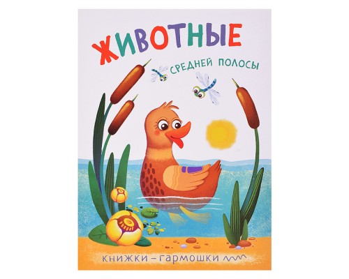 Книжка-гармошка "Животные средней полосы"