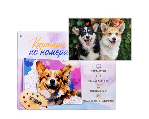 Холст с красками 40х50 по номерам (в коробке) (30цв.) "Два улыбающихся корги"