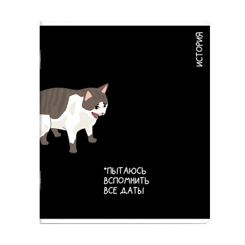 Тетрадь предметная 48 л., А5+ клетка «Коты мемы» История
