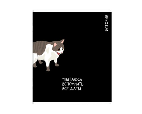 Тетрадь предметная 48 л., А5+ клетка «Коты мемы» История