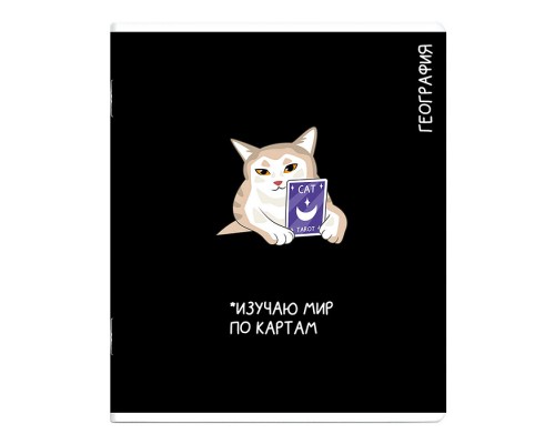 Тетрадь предметная 48 л., А5+ клетка «Коты мемы» География