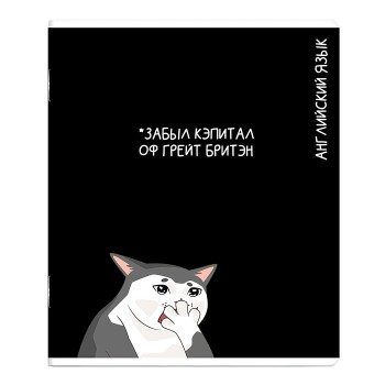 Тетрадь предметная 48 л., А5+ клетка «Коты мемы» Английский язык