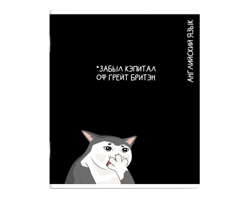 Тетрадь предметная 48 л., А5+ клетка «Коты мемы» Английский язык