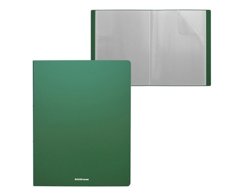 Папка с 10 вкладышами  пластиковая Matt Classic,  A4, зеленый (4 шт.)