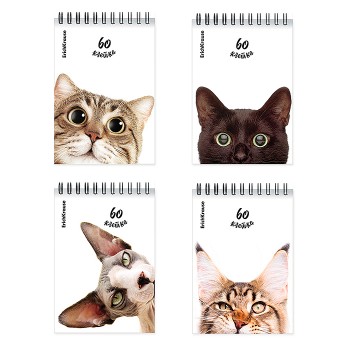 Блокнот 80л., клетка, "Котики" на спирали А6