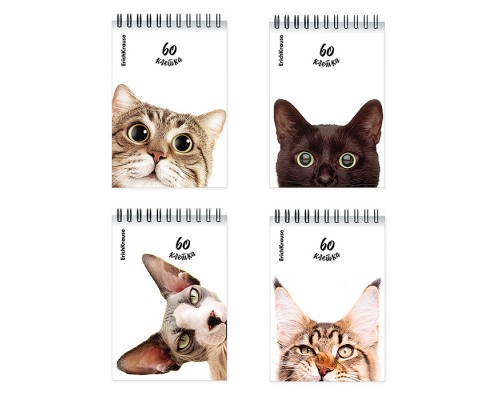 Блокнот 80л., клетка, "Котики" на спирали А6