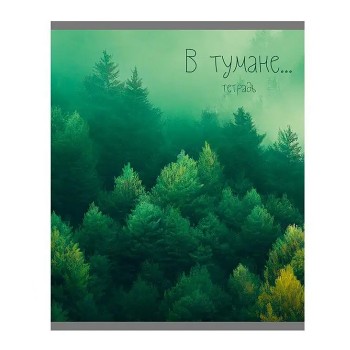Тетрадь 48л. А5, клетка "В тумане" скрепка